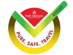 Pure Safe Travel Approved