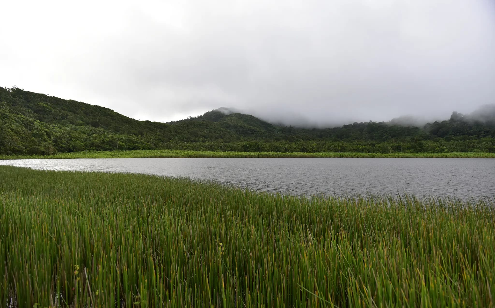 Grand Etang, Central Grenada, Grenada
